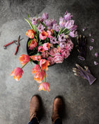 Tulip 'Crunchy Cummins'