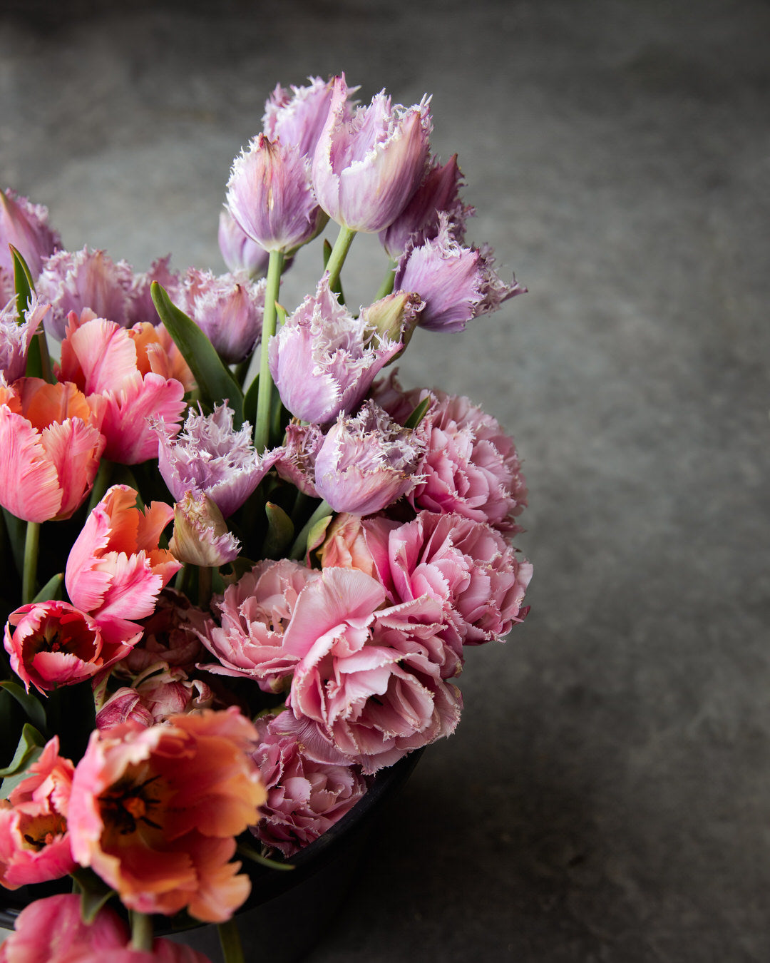 Tulip 'Crunchy Cummins'
