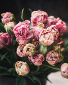 Double Tulip La Vie