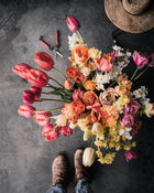 Tulip 'Avignon Parrot'