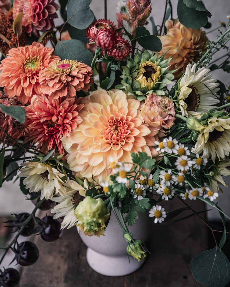 Dahlia Tuber Sale Bracken Sarah