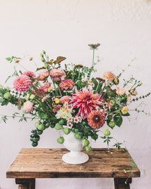 Dahlia Tuber Sale Labyrinth